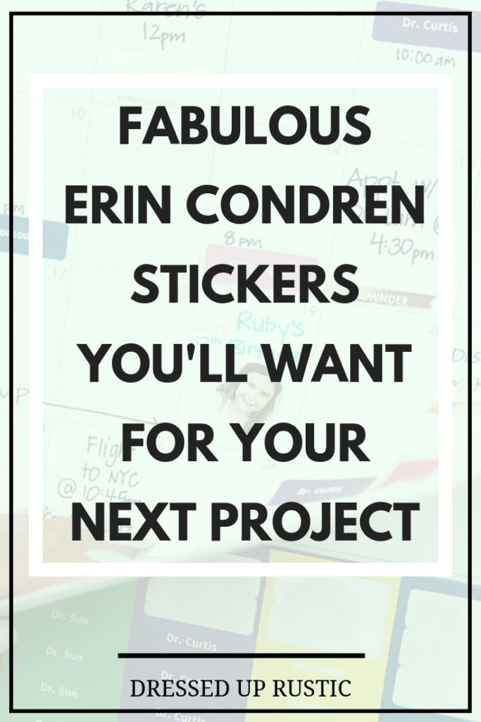 Fabulous Erin Condren Stickers You'll Want For Your Next Project: Sticker Planner Accessories, as seen on Dressed Up Rustic by Janette Foreman