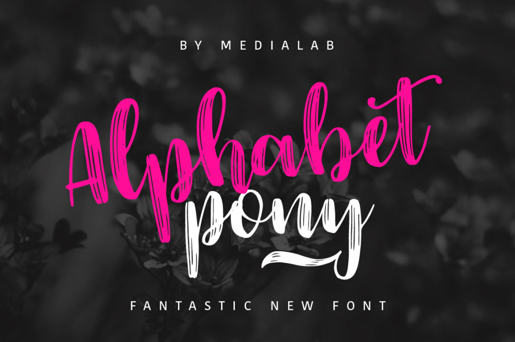 Choosing a calligraphy font for your website is tricky. Here are 11 great calligraphy fonts you can download and use today. Blog post by Janette Foreman at Dressed Up Rustic.