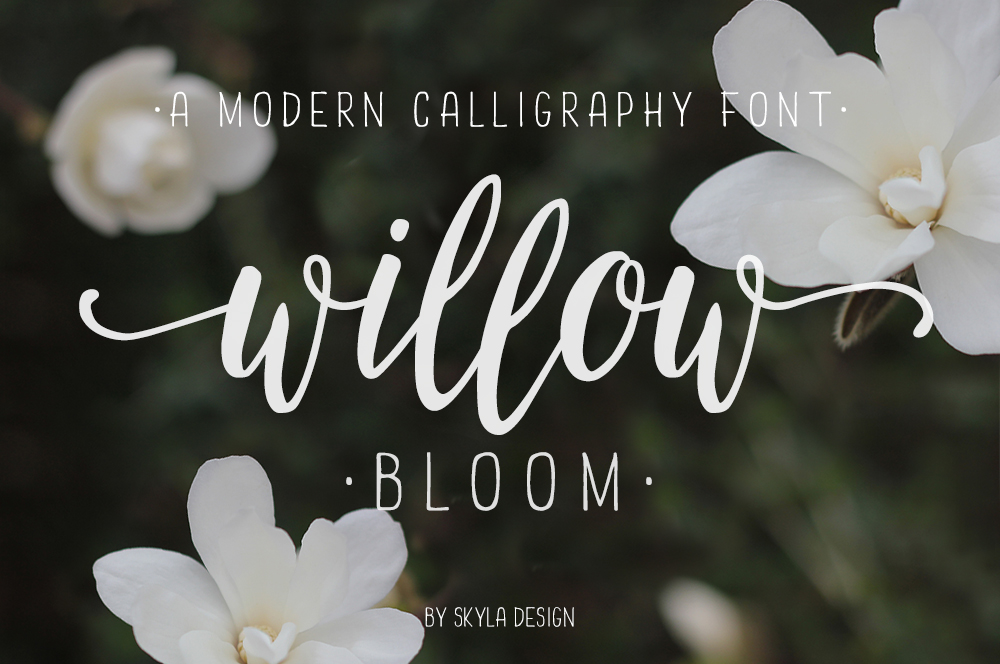 Choosing a calligraphy font for your website is tricky. Here are 11 great calligraphy fonts you can download and use today. Blog post by Janette Foreman at Dressed Up Rustic.