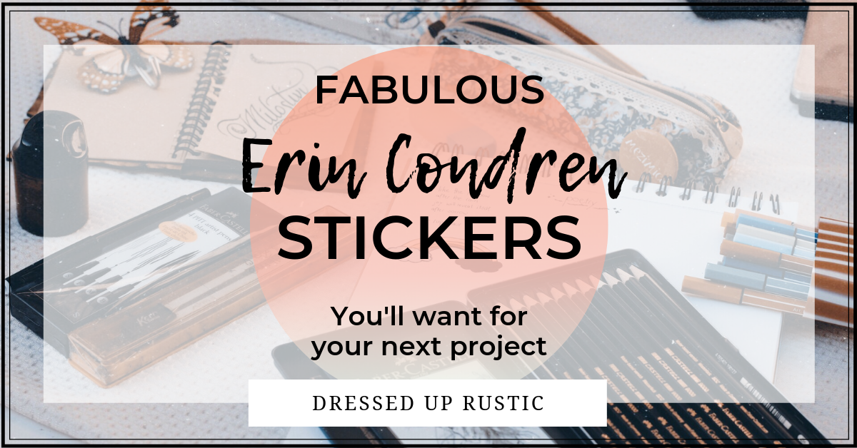 Planner Accessories: Cute Erin Condren Stickers